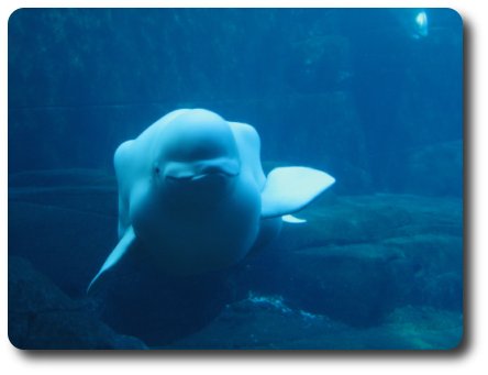 Friendly Meetings in Vancouver