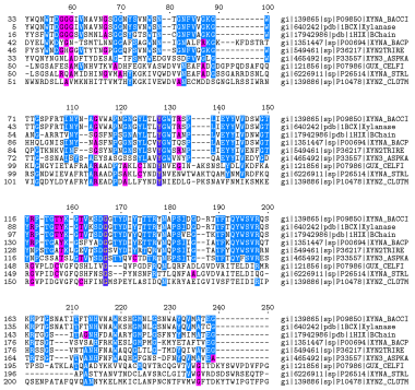 Multiple Sequence Alignment